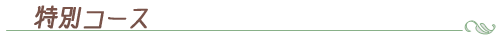 特別コース